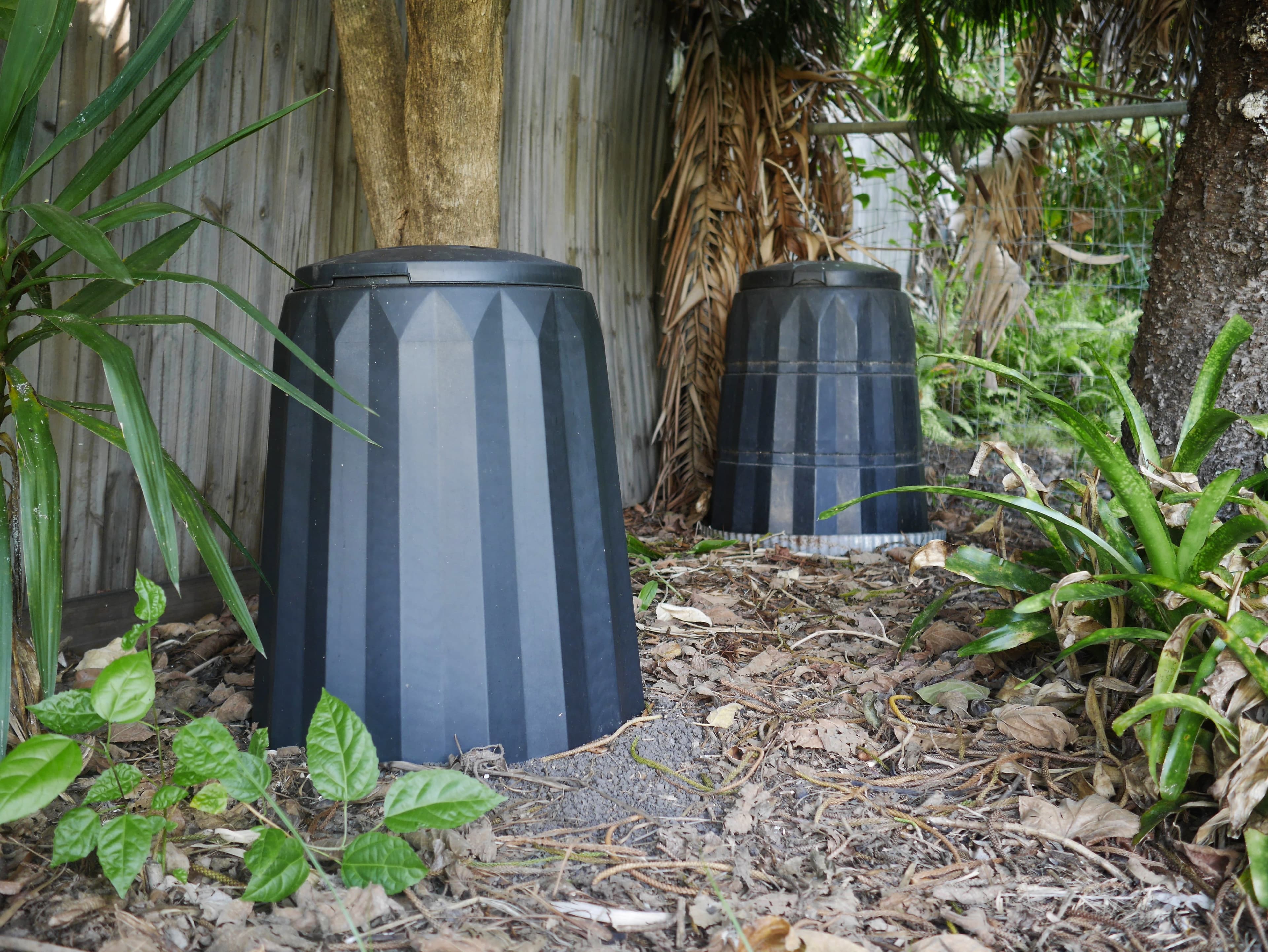 compost bin under a tree in a garden